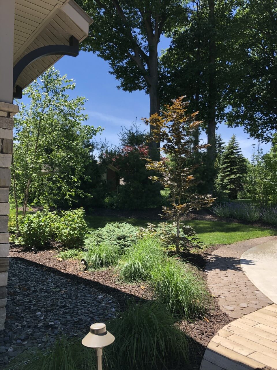 A garden with trees and bushes in the background.